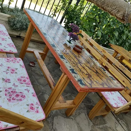 Casa de hóspedes Altay