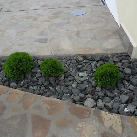 Pensjonat Altay
