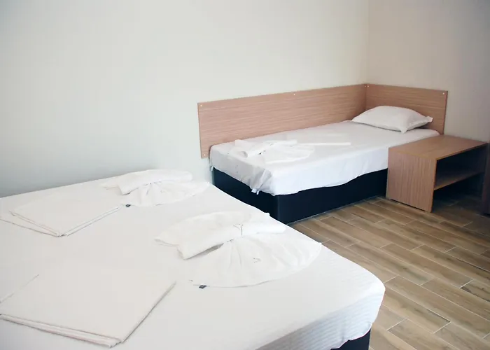 招待所 Altay 洛泽内茨