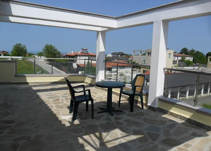 招待所 Altay 洛泽内茨