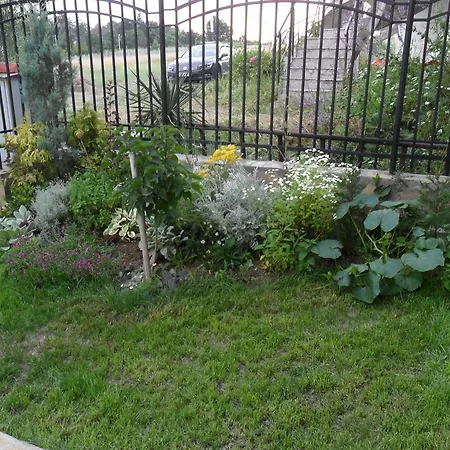 алтай Къща за гости