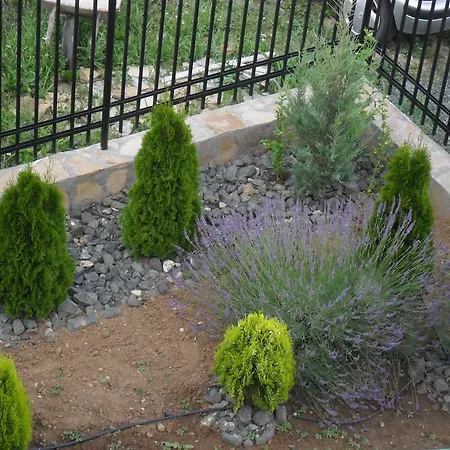بيت ضيافة Altay *