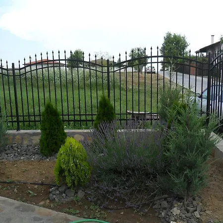 алтай Лозенец